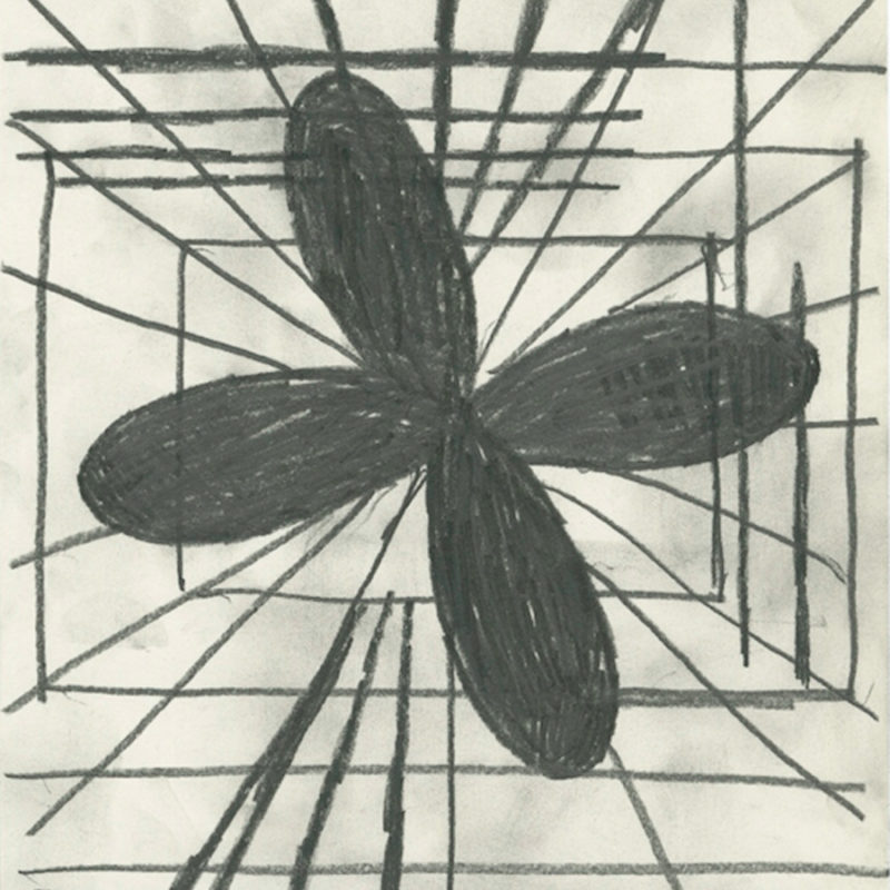 Image: Terry Winters, Addendum/4, 2014, Graphite on paper, 8 ½ × 11 inches. Courtesy of the artist and Matthew Marks Gallery, New York
